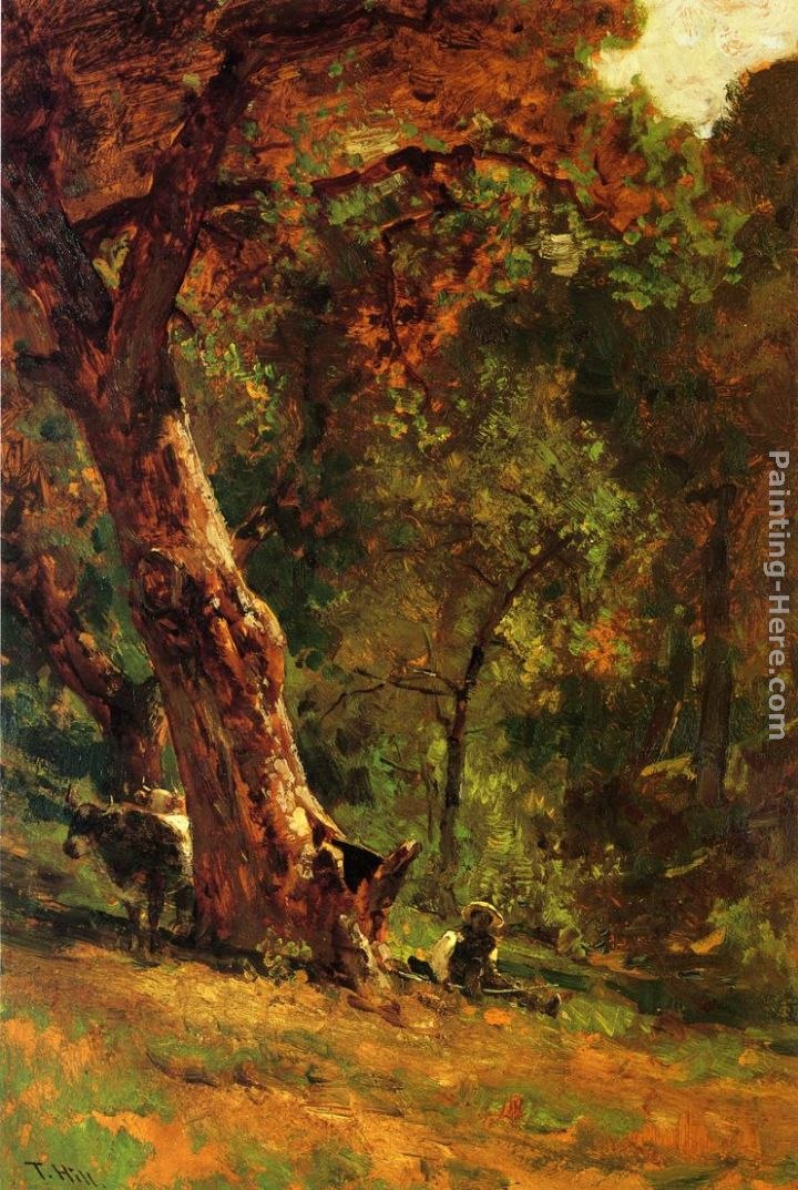 Thomas Hill Chinese Man Tending Cattle